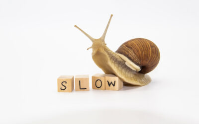 Niemand houdt van een trage website!